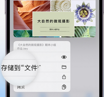 钟祥apple维修中心分享iPhone文件应用中存储和找到下载文件