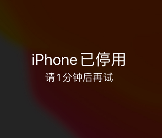 钟祥苹果手机维修分享:iPhone 显示“不可用”或“已停用”怎么办？还能保留数据吗？ 