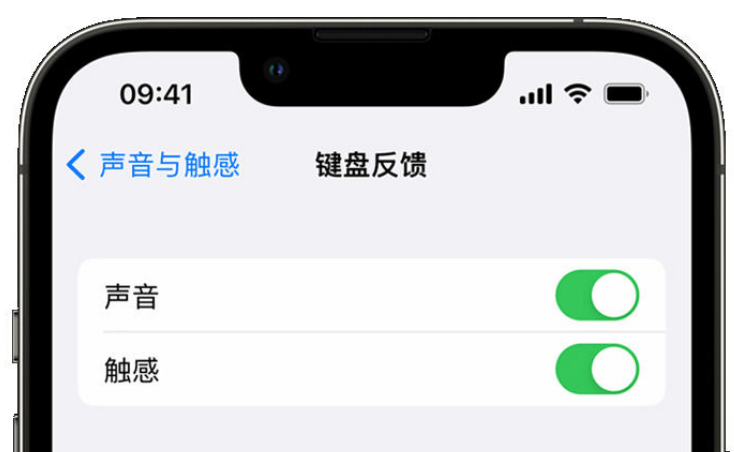 钟祥苹果手机维修分享iPhone 14触感键盘使用方法 