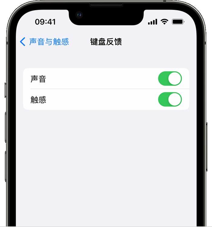 钟祥苹果14维修店分享如何在 iPhone 14 机型中使用触感键盘 