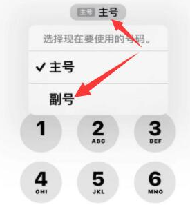 钟祥苹果14维修店分享iPhone 14 Pro Max使用副卡打电话的方法 