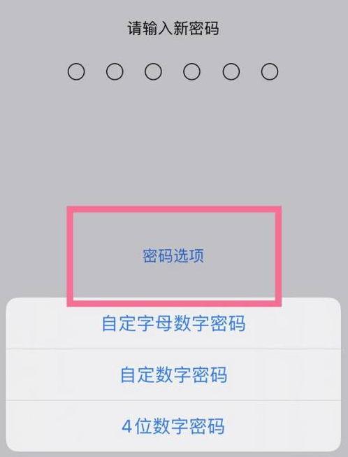 钟祥苹果14维修分享iPhone 14plus设置密码的方法 