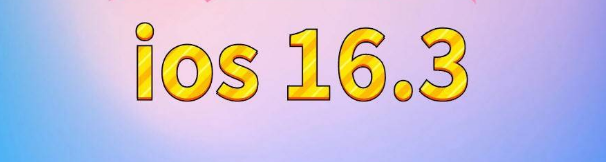 钟祥苹果服务网点分享苹果iOS16.3升级反馈汇总 