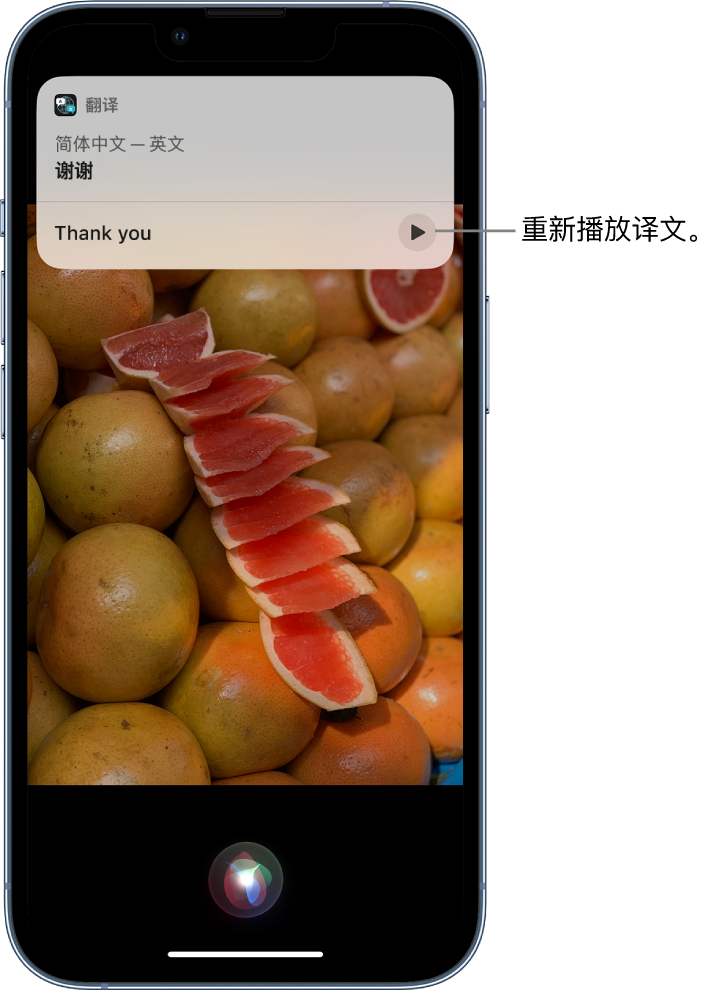 钟祥苹果14维修分享 iPhone 14 机型中使用 Siri：了解 Siri 能帮你做什么 